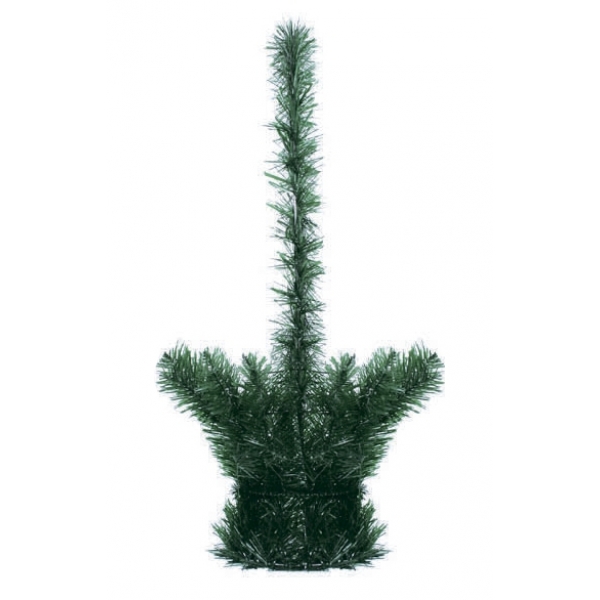 Сосна, 1,5 м. Розпушена