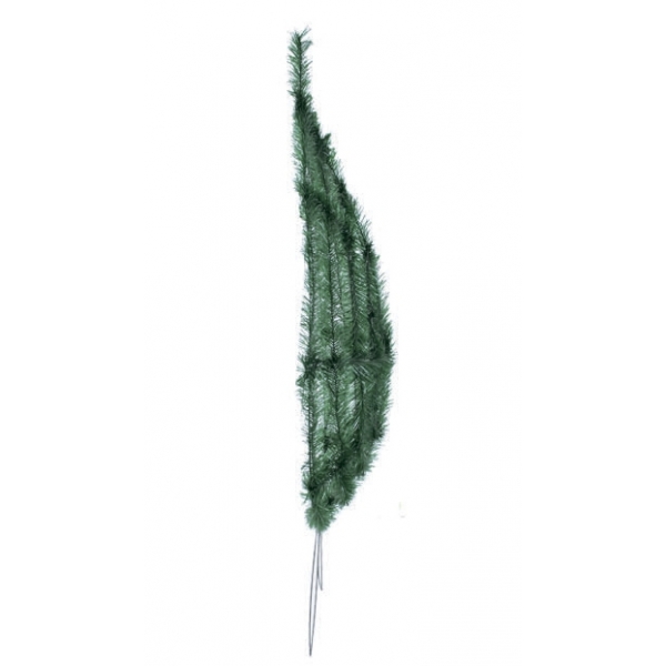 Сосна, 1,5 м. Розпушена