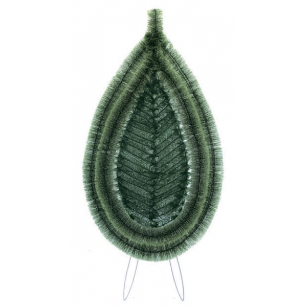 Сосна, 1,5 м. Розпушена