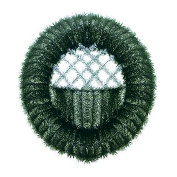 Сосна, 1,5 м. Розпушена