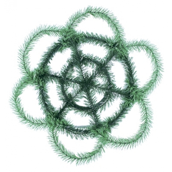 Сосна, 1,5 м. Розпушена