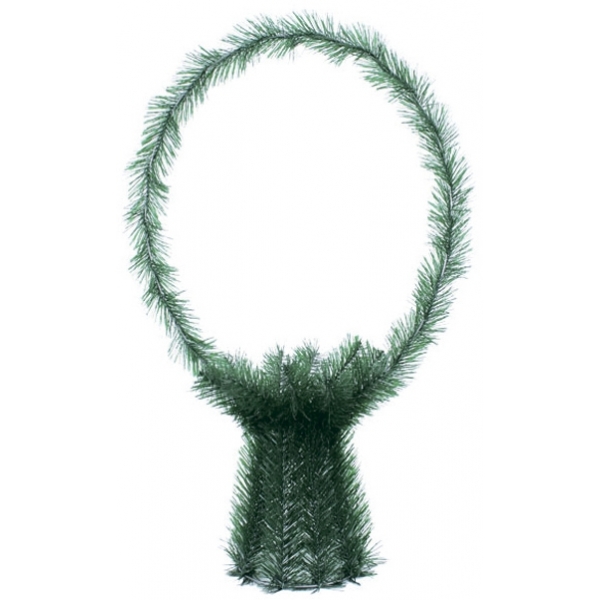 Сосна, 1,5 м. Розпушена