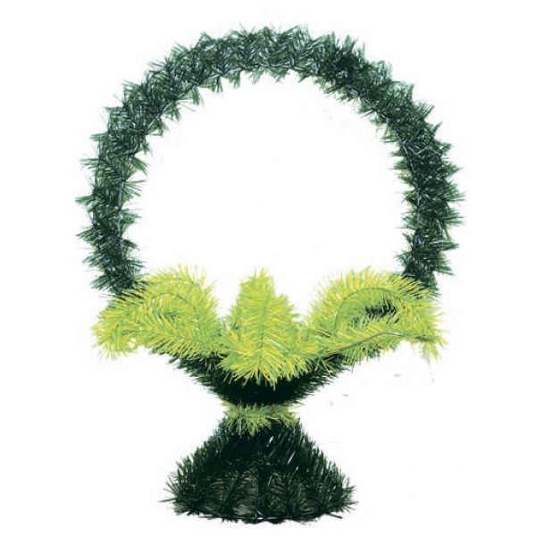 Сосна, 1,5 м. Розпушена