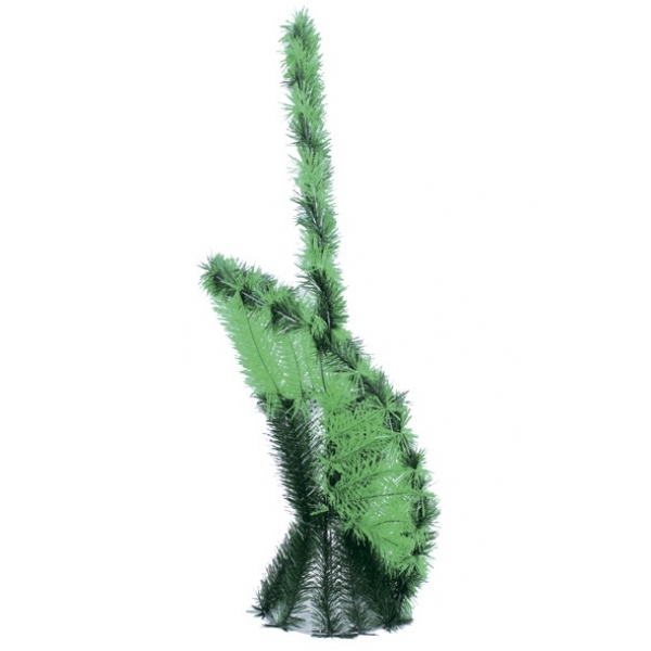 Сосна, 1,5 м. Розпушена