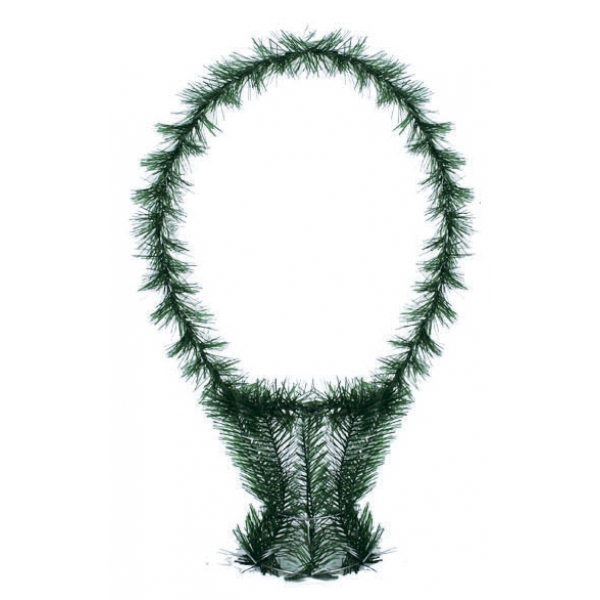 Сосна, 1,5 м. Розпушена