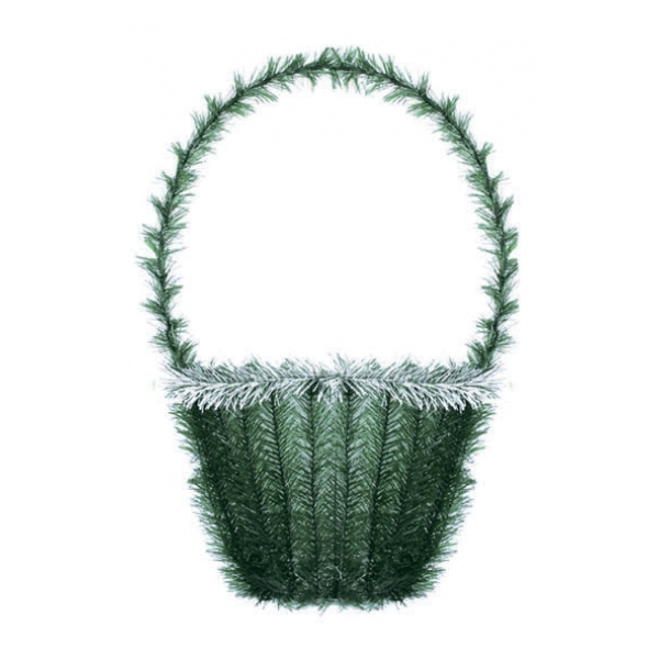 Сосна, 1,5 м. Розпушена