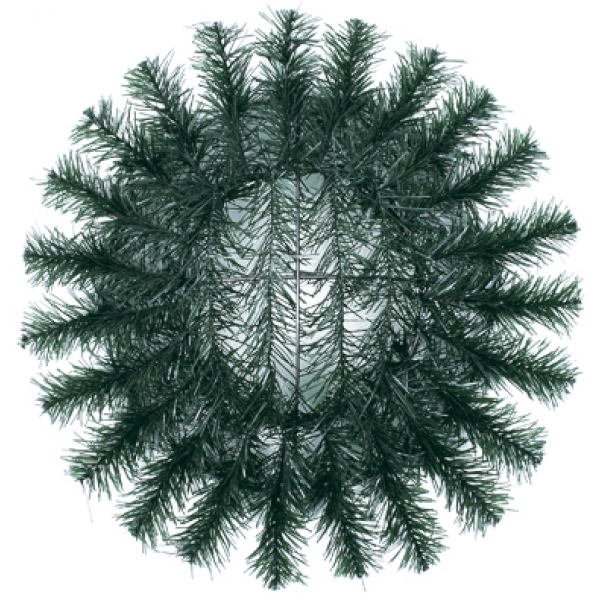 Сосна, 1,5 м. Розпушена