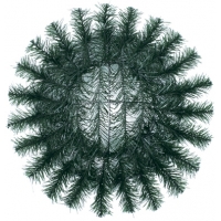 №0239 Sun