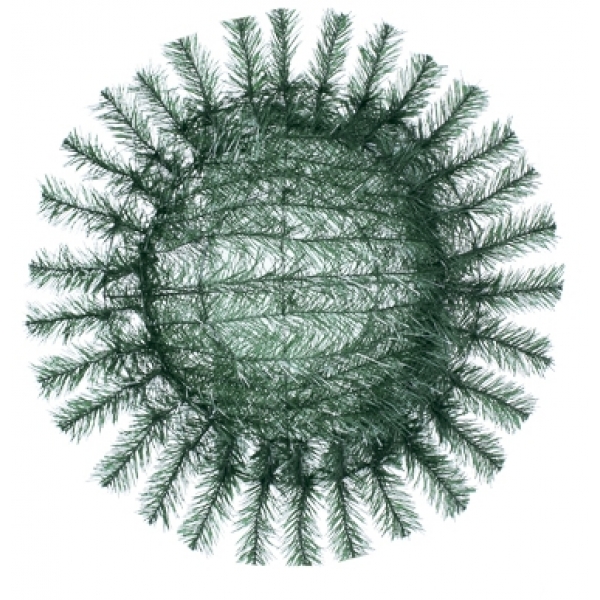 Сосна, 1,5 м. Розпушена