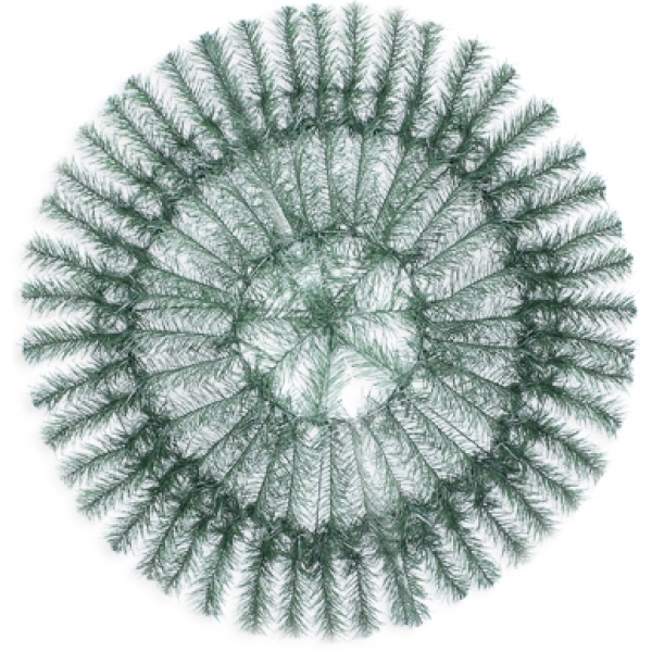 Сосна, 1,5 м. Розпушена