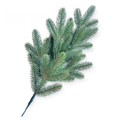 Сосна, 1,5 м. Розпушена