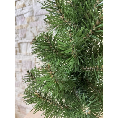Сосна, 1,5 м. Розпушена