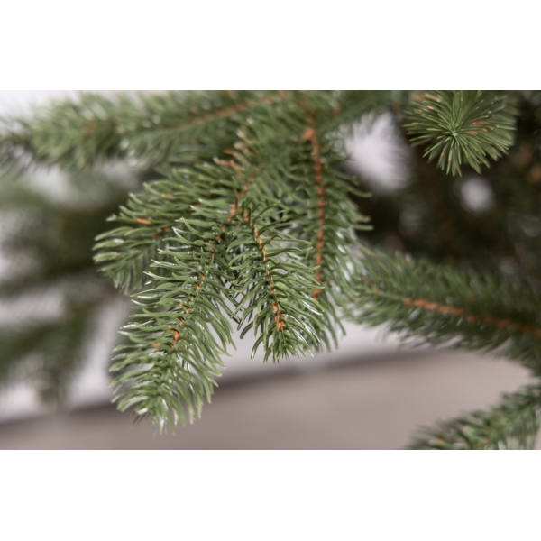 Сосна, 1,5 м. Розпушена