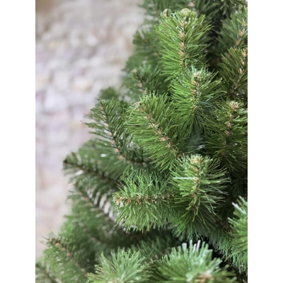Сосна, 1,5 м. Розпушена