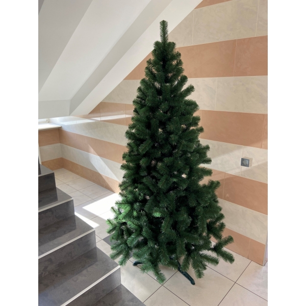 Сосна, 1,5 м. Розпушена