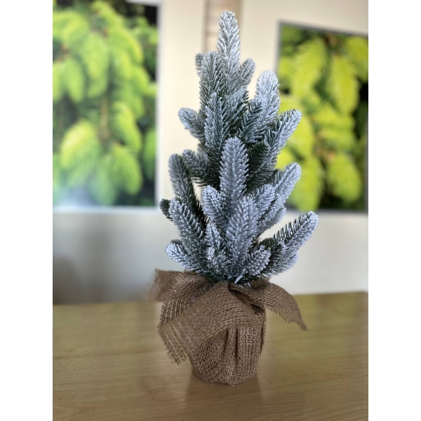 Сосна, 1,5 м. Розпушена