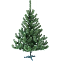 Ялинка, 1,2 м. Західна