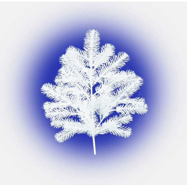 Сосна, 1,5 м. Розпушена