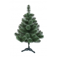 Сосна, 1,2 м. Распушенная