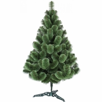 Сосна, 1,8 м. Распушенная