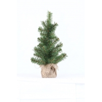 Ялинка, 35 см. в горщику