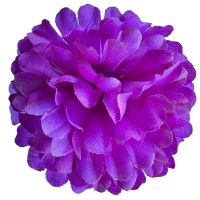 Голівка хризантеми