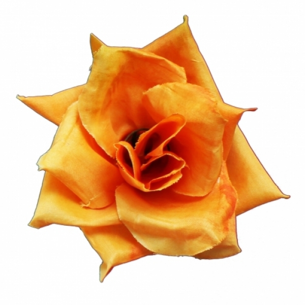 Сосна, 1,5 м. Розпушена