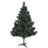 Сосна, 1,60 м.