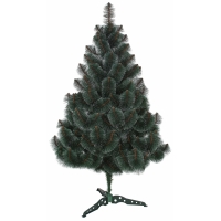 Сосна, 1,80 м.