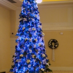 Риксос Прикарпатье