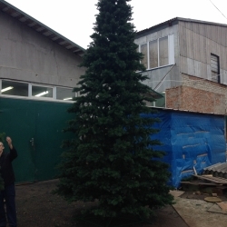 Ель литая 6 метров