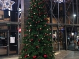Christmas Tree PE, 5 m. "Port city" mall, Lutsk