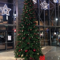 Литая ель, 5 м. ТЦ "Port city", г. Луцк