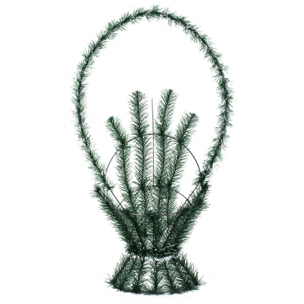 Сосна, 1,5 м. Розпушена