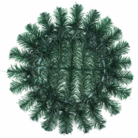 №0383 Солнце