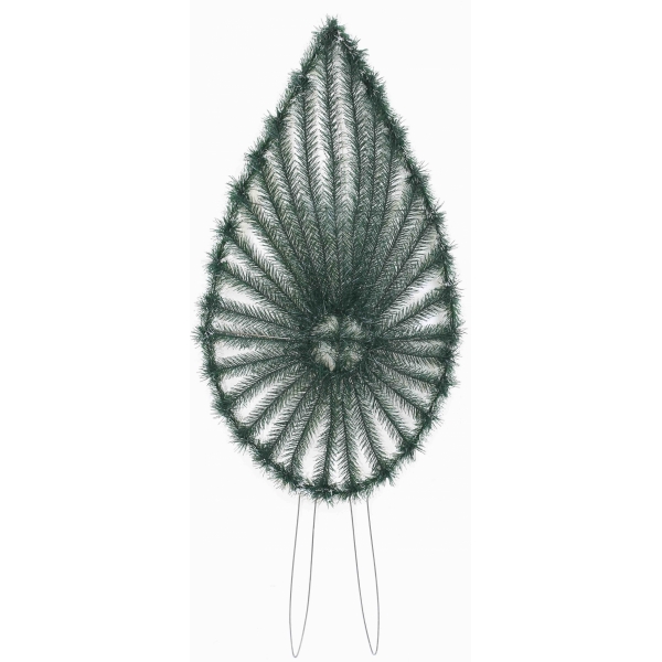 Сосна, 1,5 м. Розпушена