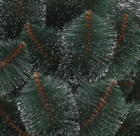 Pine with white tips, ″Star″. Buy wholesale