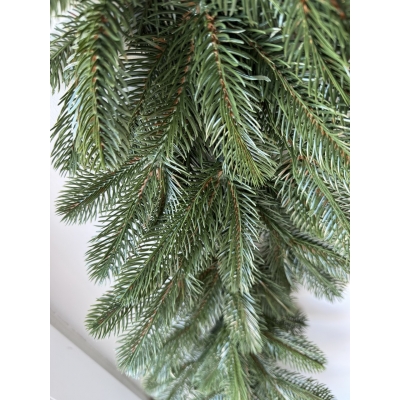 Сосна, 1,5 м. Розпушена