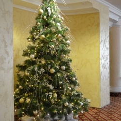 Сосна 3 метра (декор студия Dream Art)