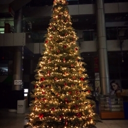 Ель 6 метров Литая