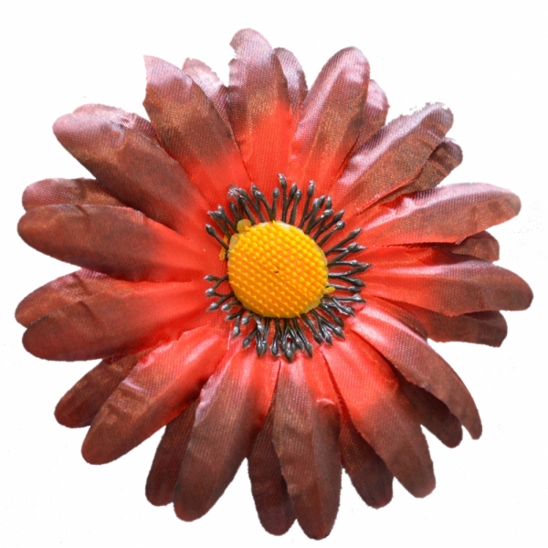 Сосна, 1,5 м. Розпушена