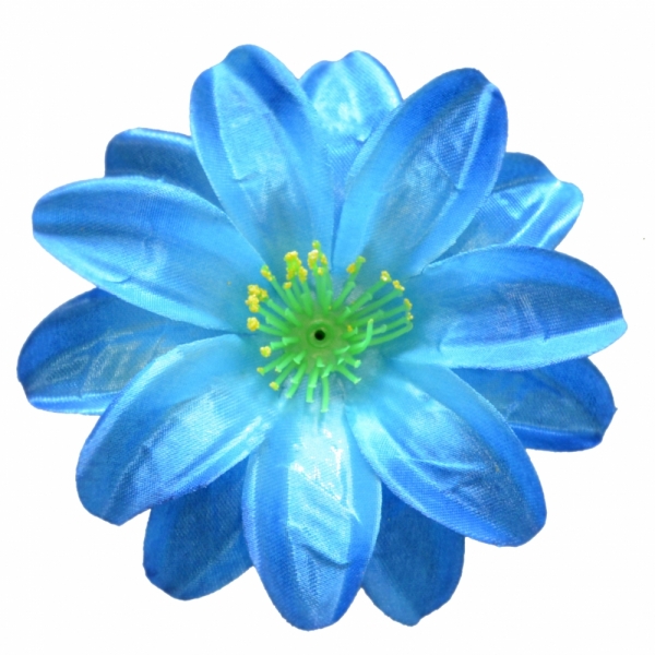 Сосна, 1,5 м. Розпушена