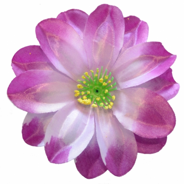 Сосна, 1,5 м. Розпушена