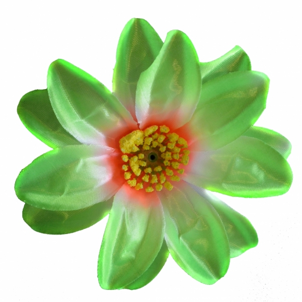 Сосна, 1,5 м. Розпушена