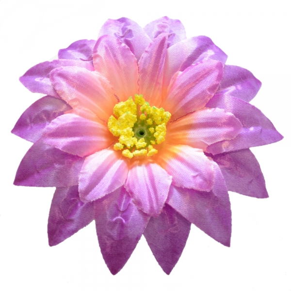 Сосна, 1,5 м. Розпушена