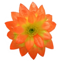 Крокус атлас тройний оранжевий