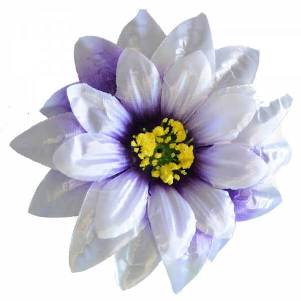 Сосна, 1,5 м. Розпушена