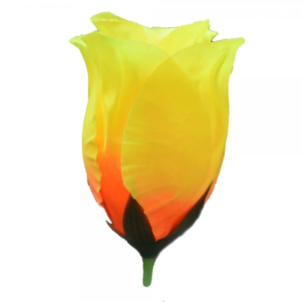 Сосна, 1,5 м. Розпушена