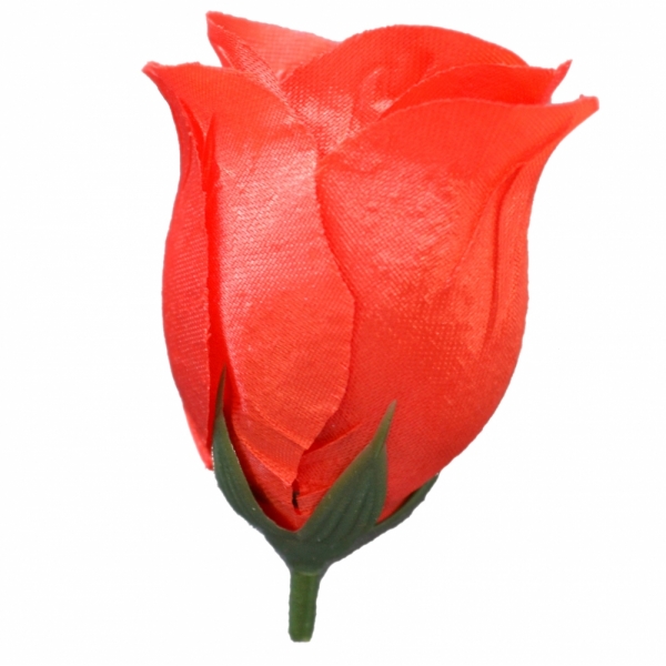 Сосна, 1,5 м. Розпушена