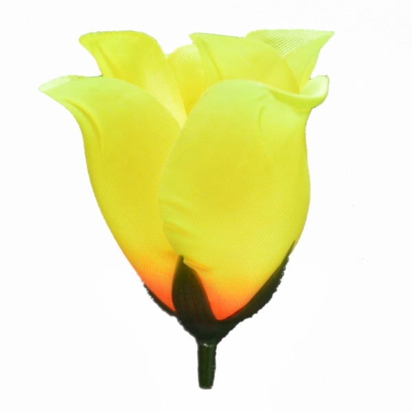 Сосна, 1,5 м. Розпушена